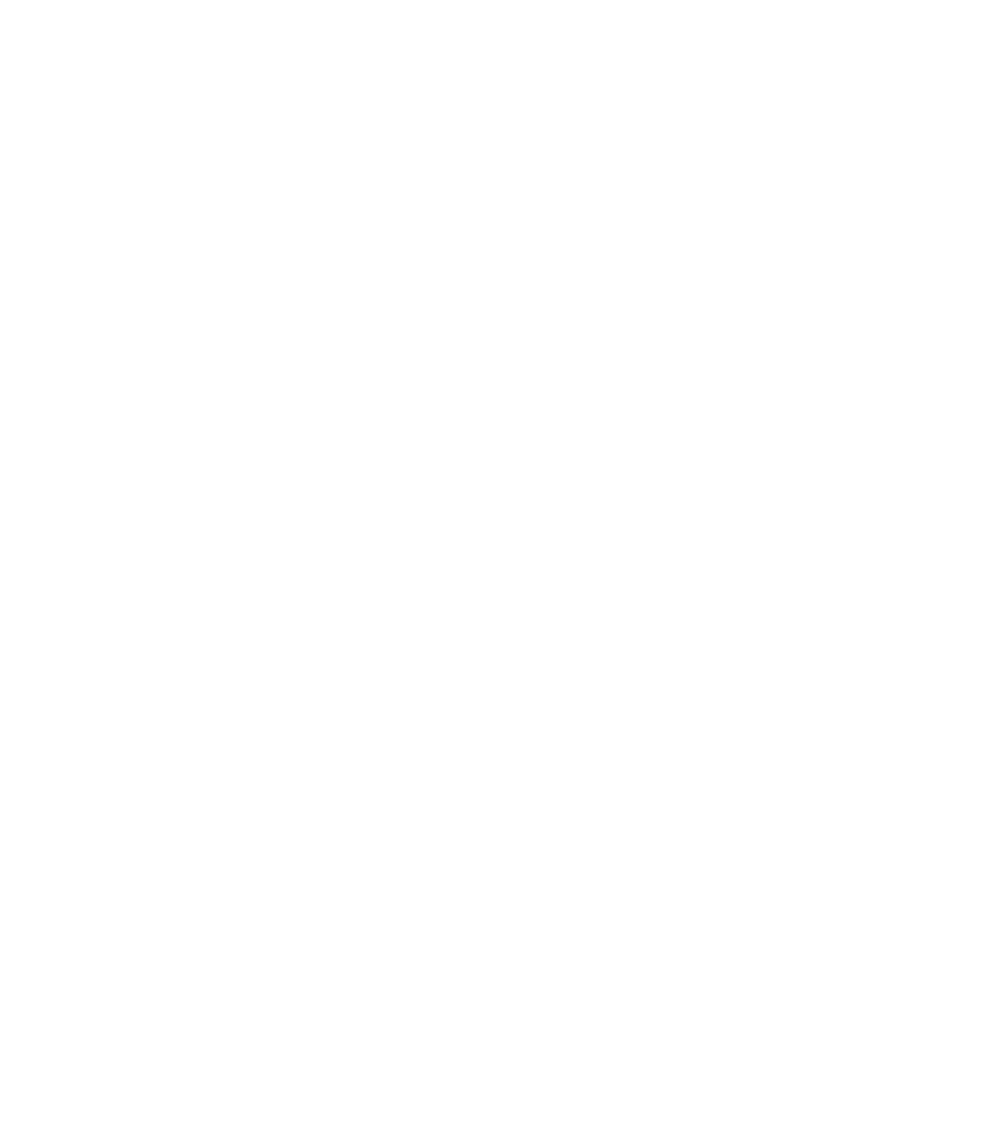 logo blanc